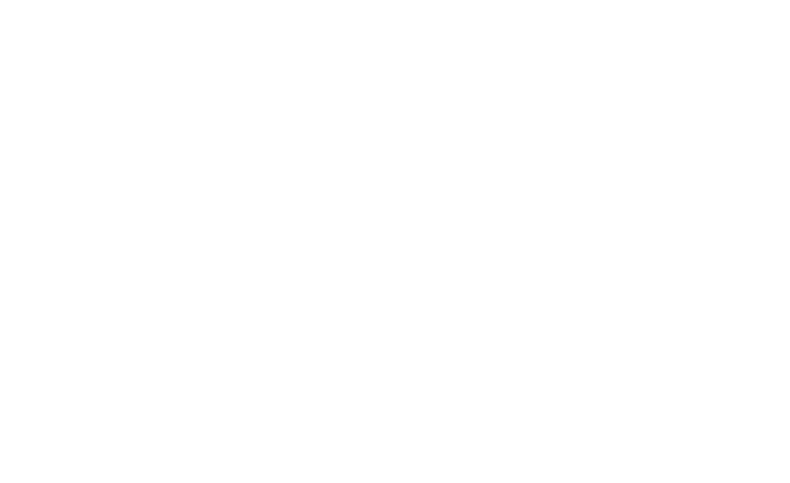 DrFalk