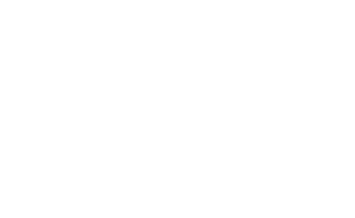 Victus