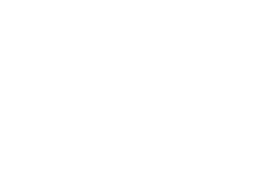 Gutis